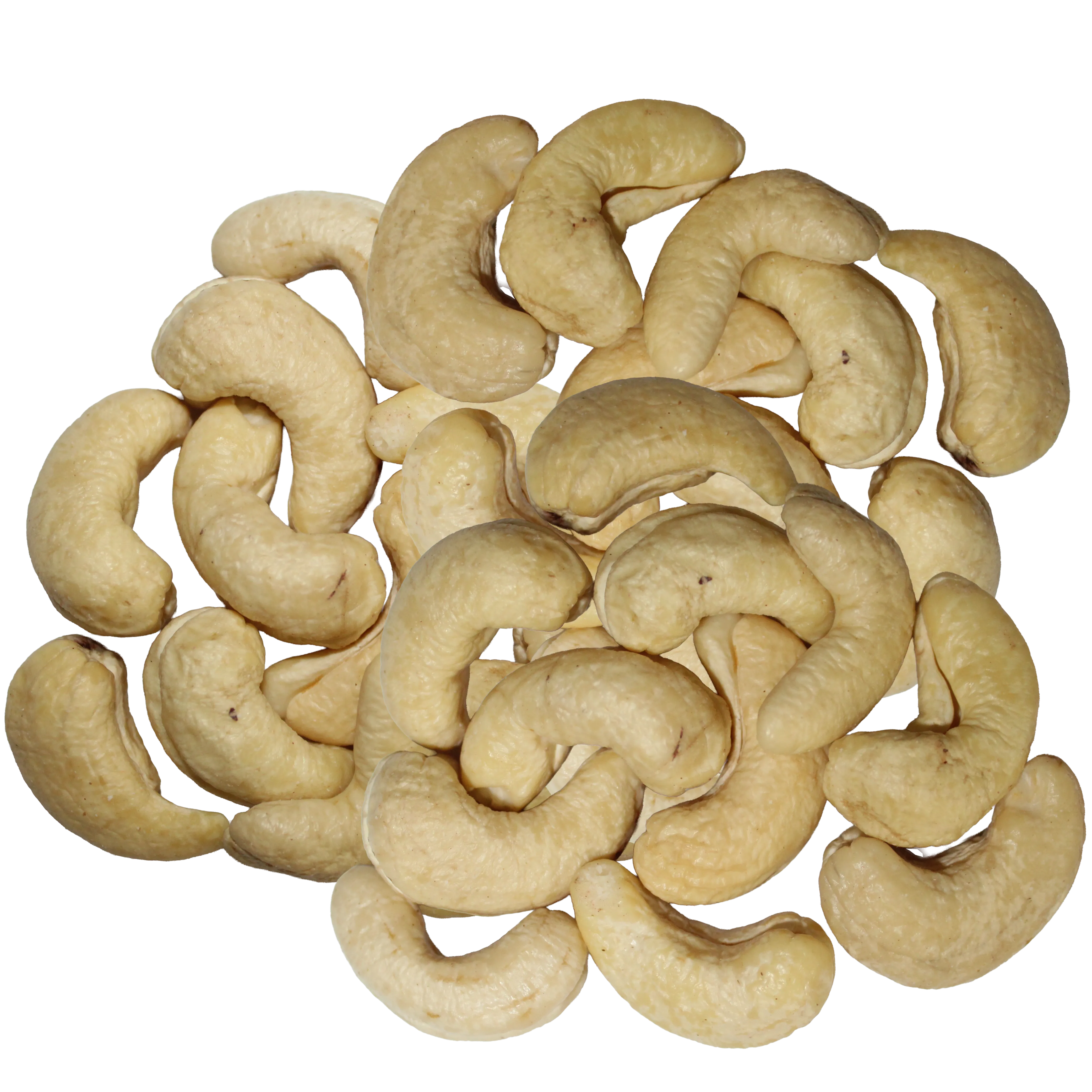 Large Cashew